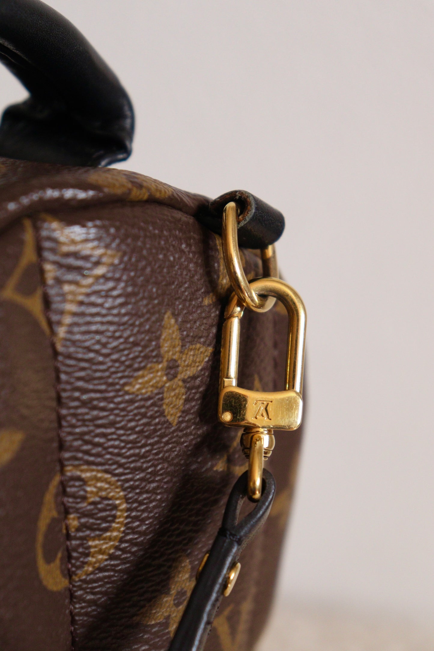 Louis Vuitton Palm Springs Mini