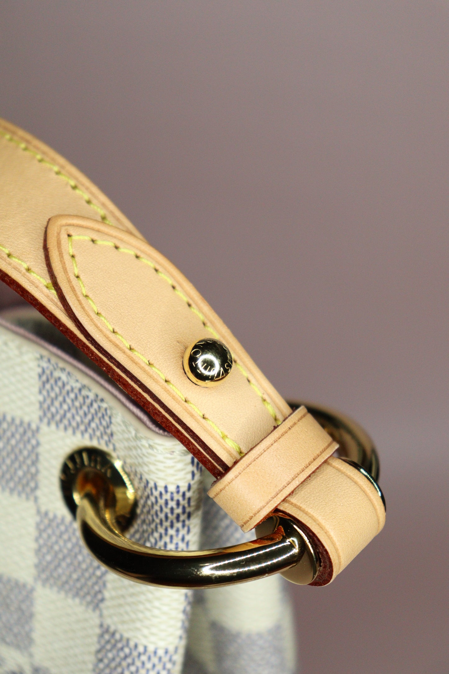 Louis Vuitton Delightful GM