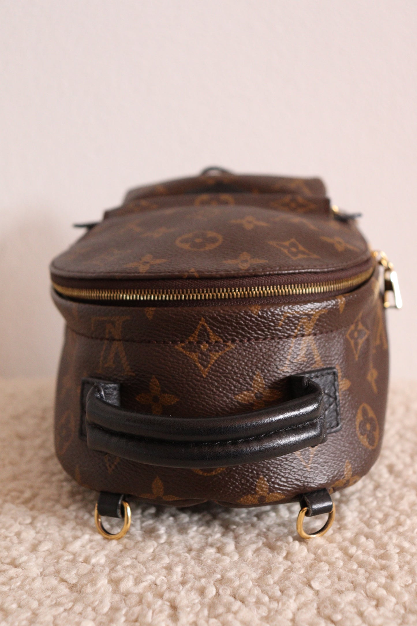 Louis Vuitton Palm Springs Mini