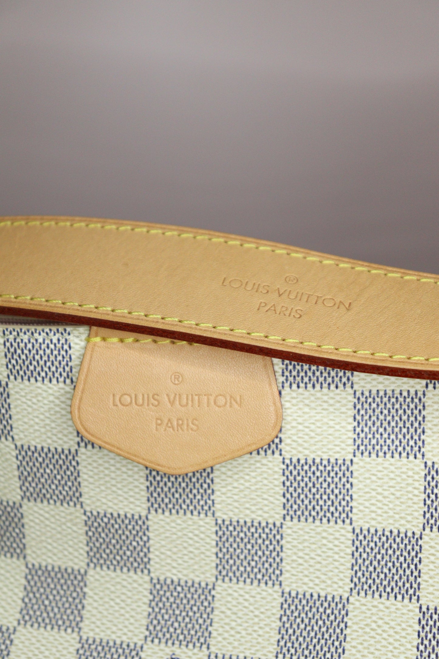 Louis Vuitton Delightful GM