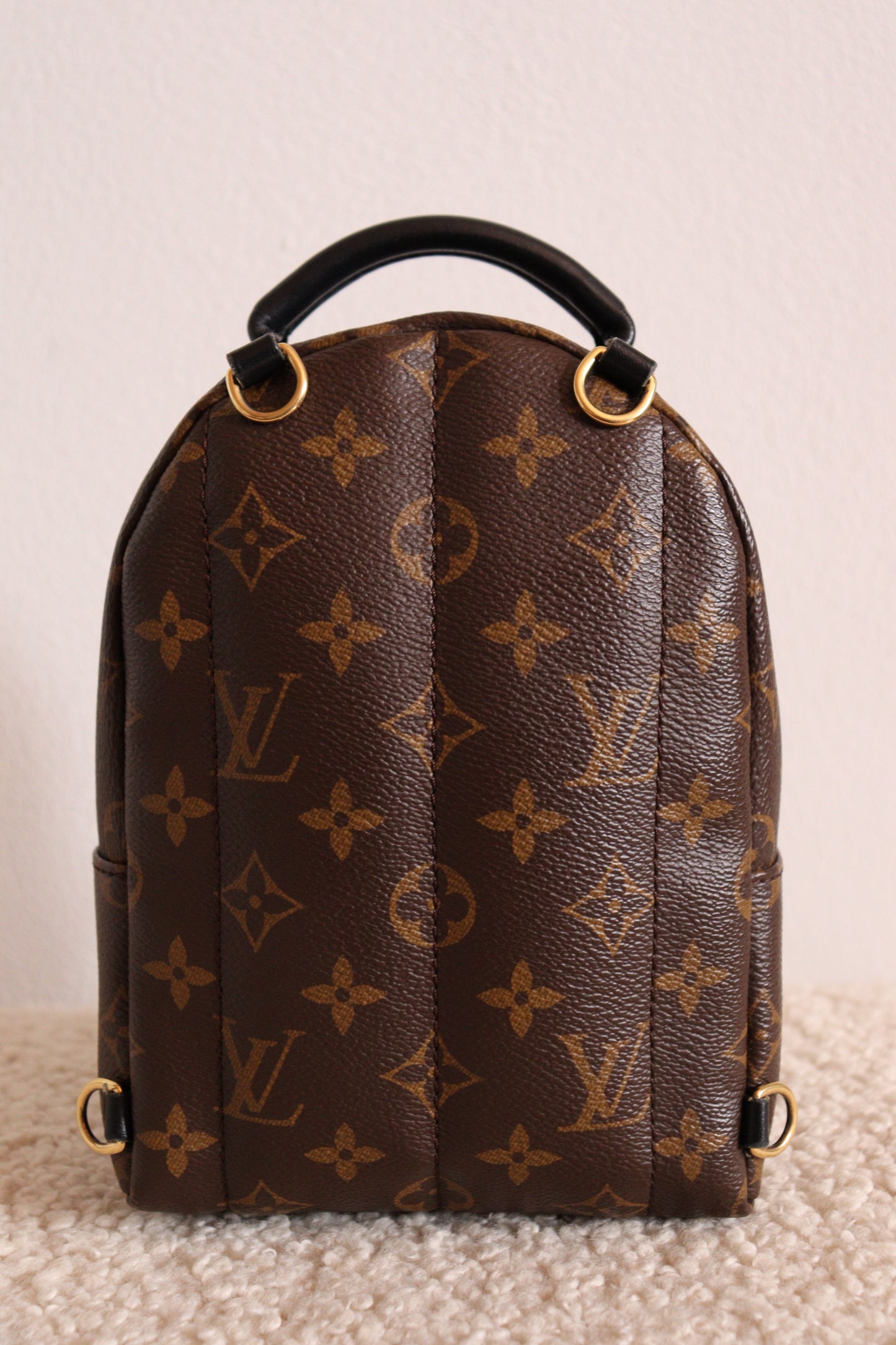 Louis Vuitton Palm Springs Mini