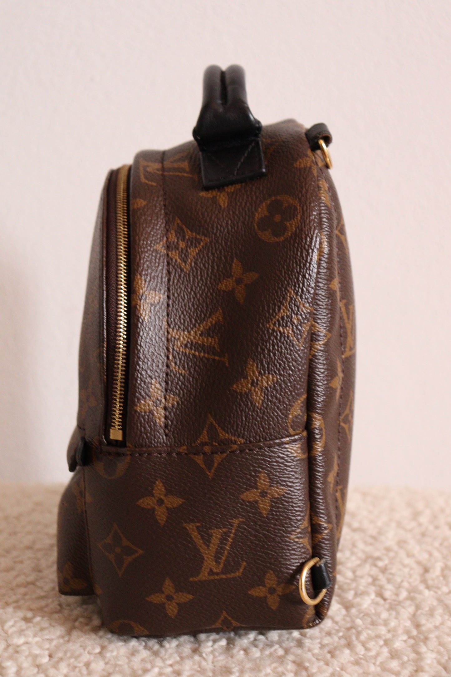 Louis Vuitton Palm Springs Mini