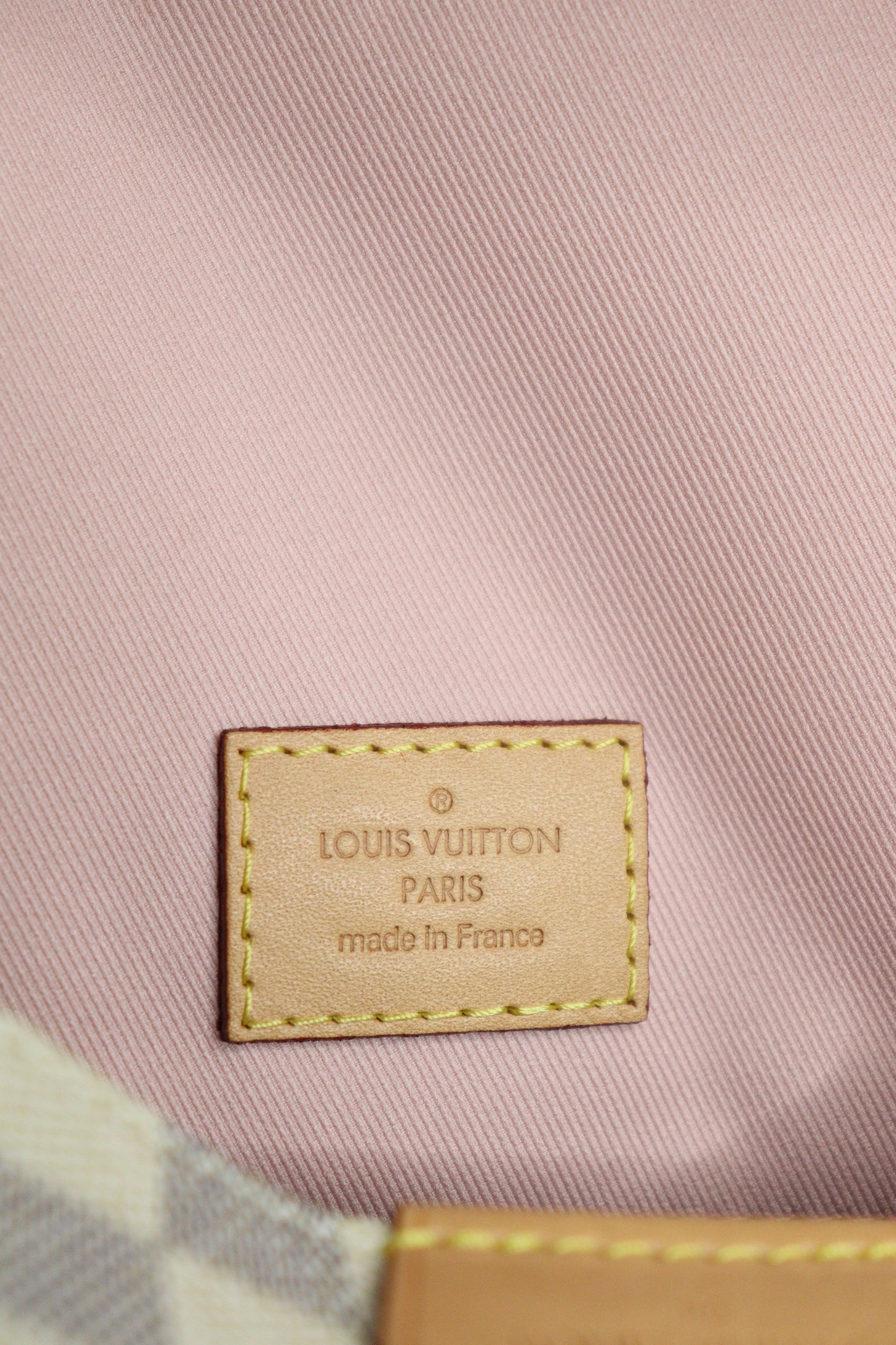 Louis Vuitton Delightful GM