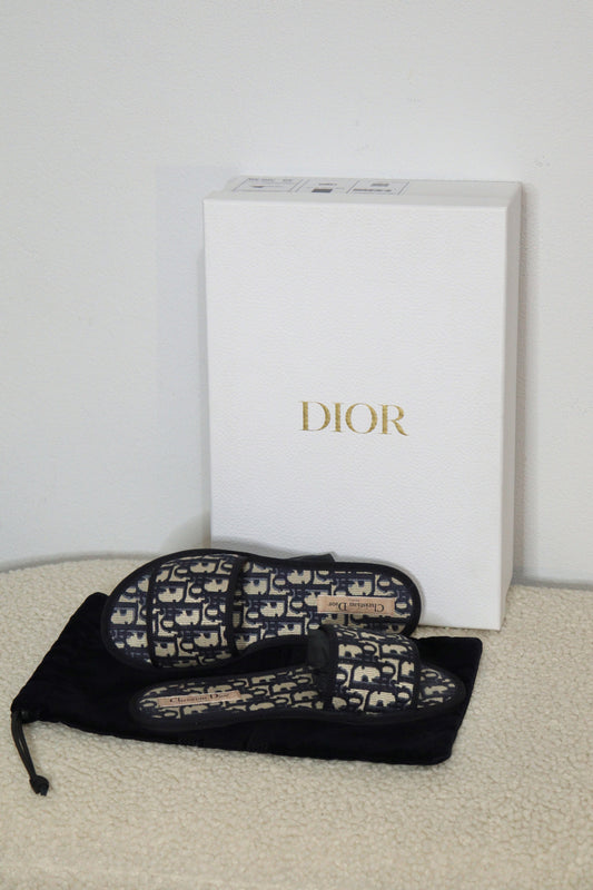 Christian Dior Blue Oblique Slide Sandals