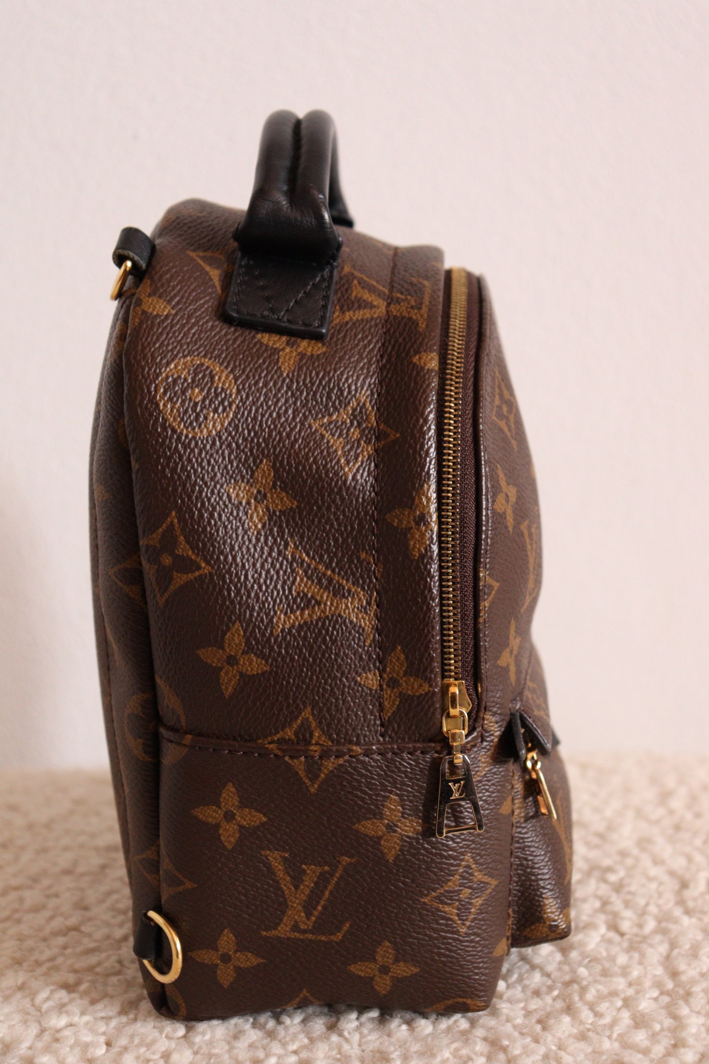 Louis Vuitton Palm Springs Mini