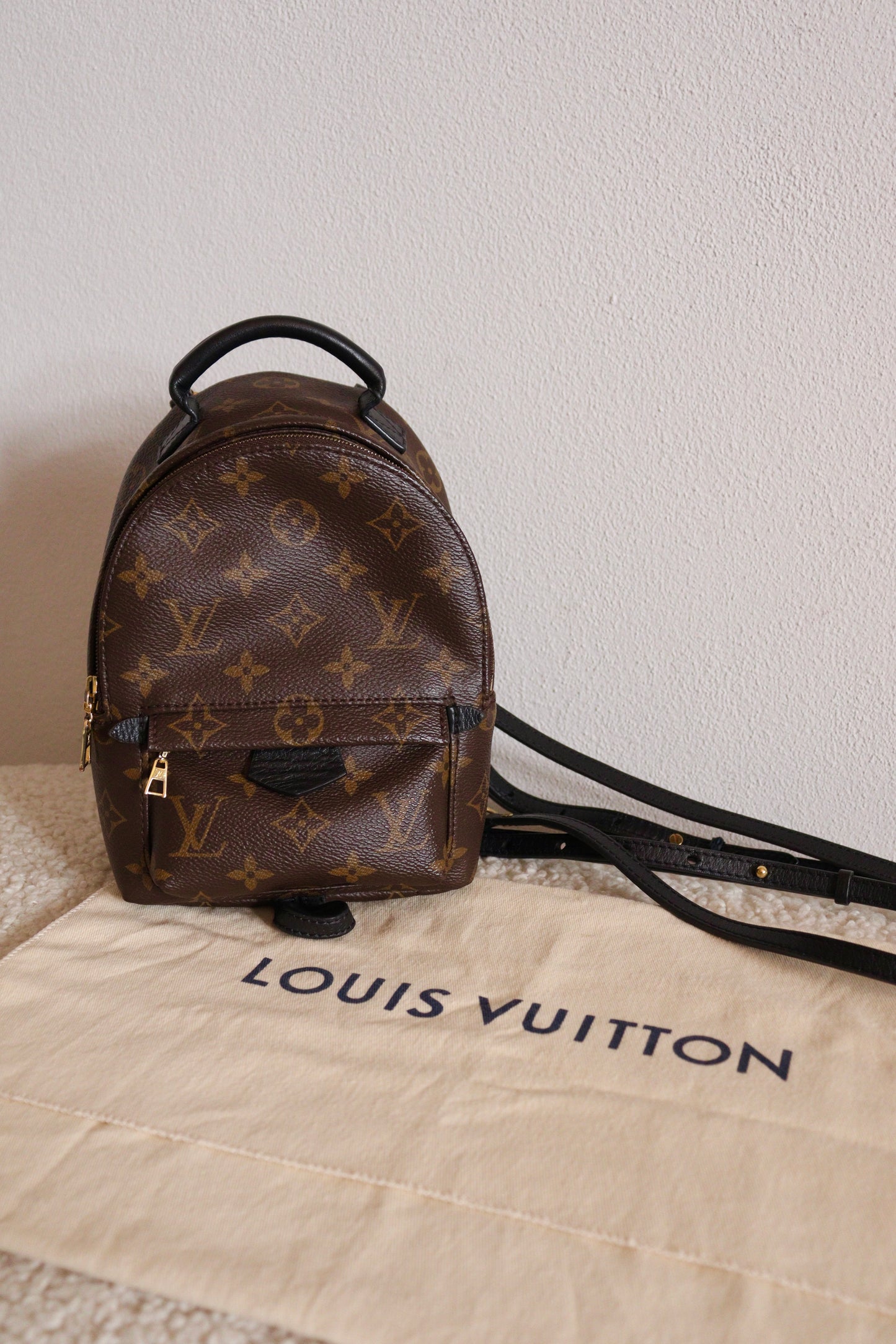 Louis Vuitton Palm Springs Mini