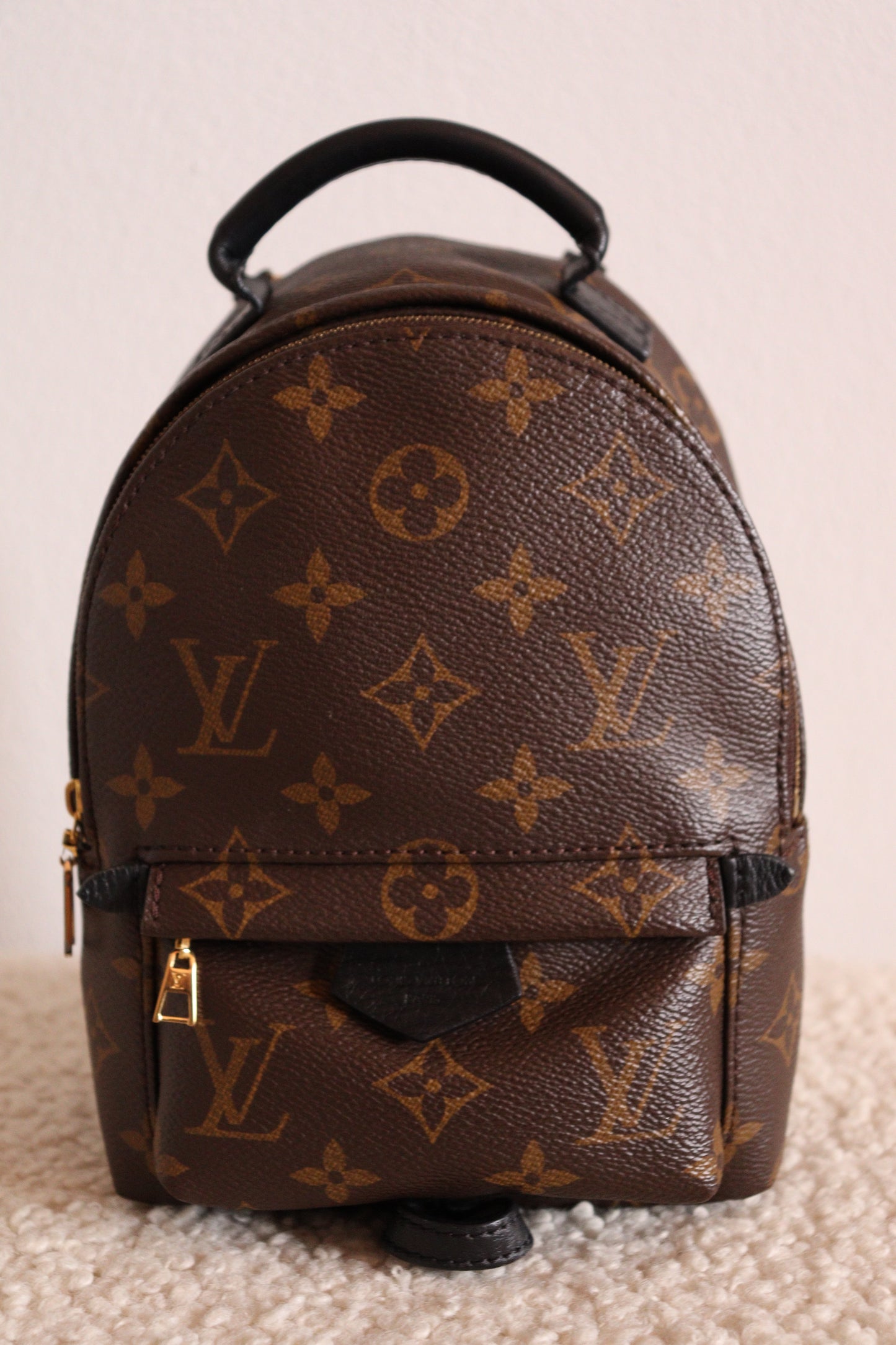 Louis Vuitton Palm Springs Mini