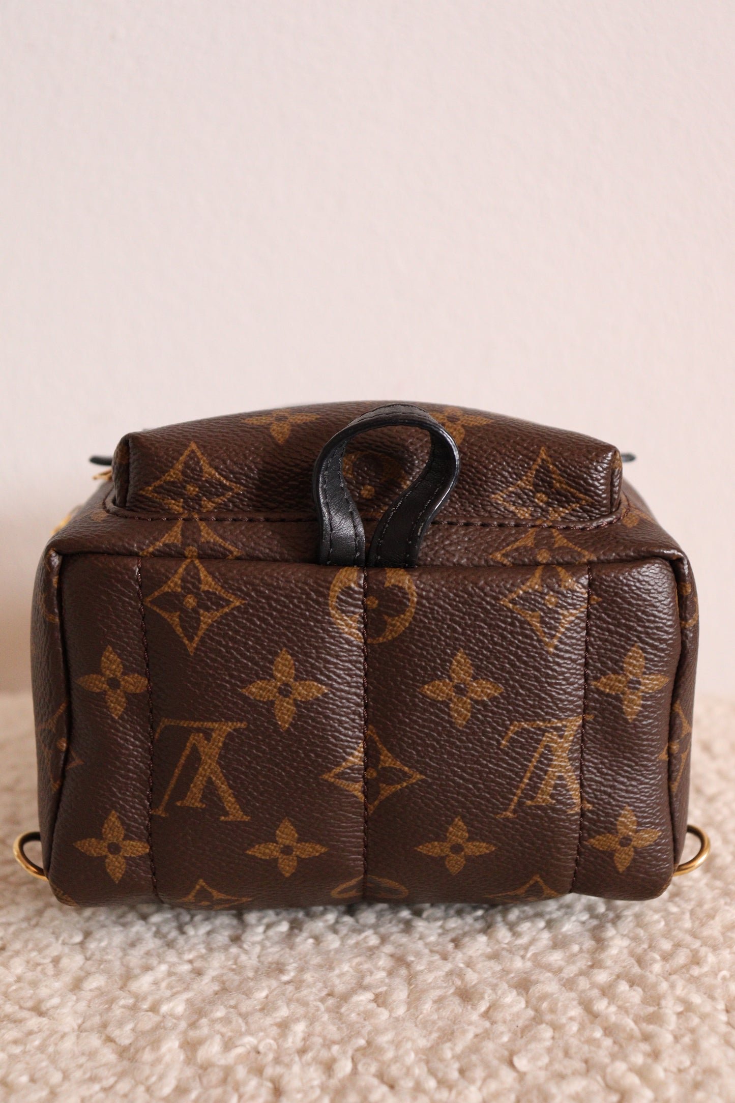 Louis Vuitton Palm Springs Mini