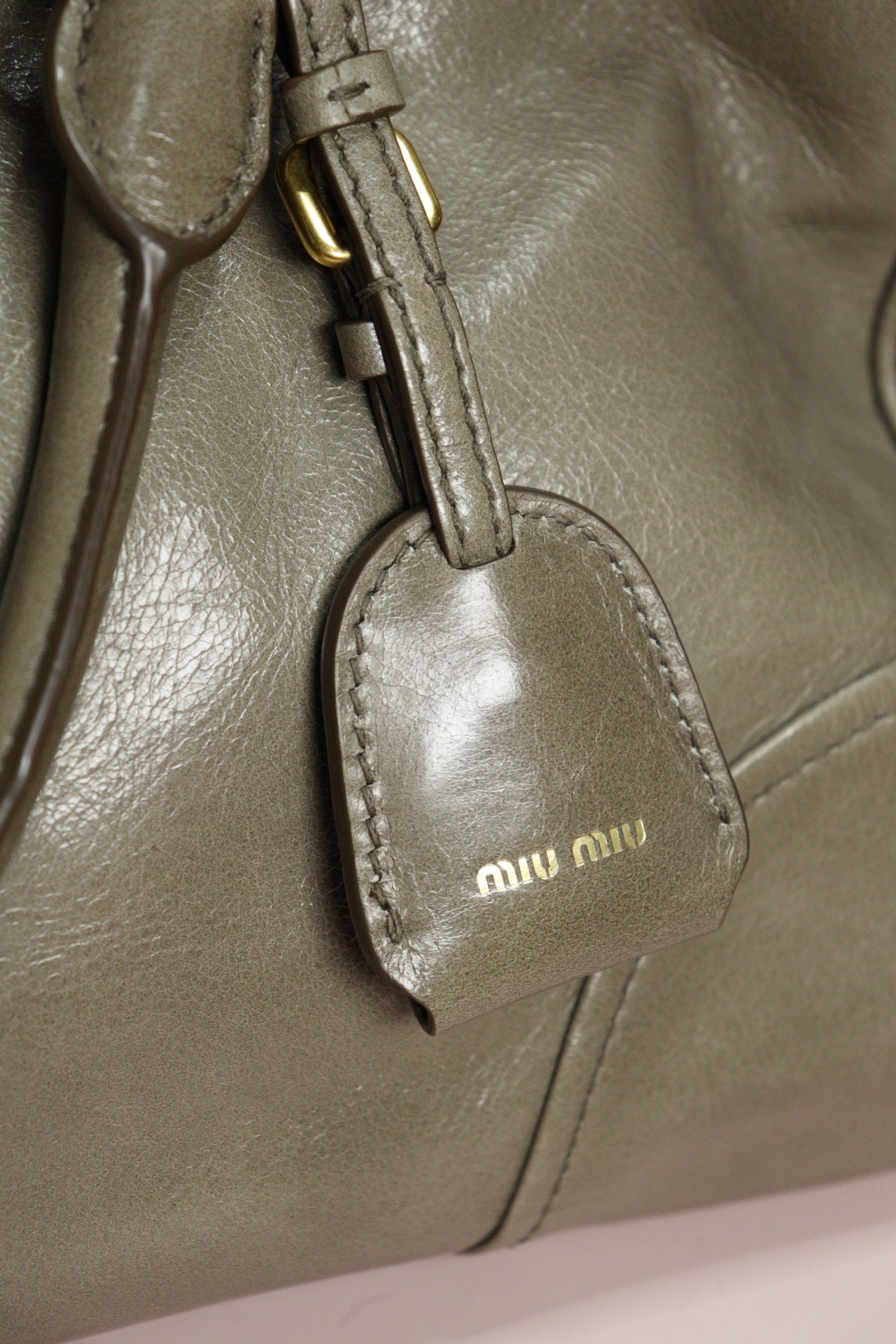 Miu Miu Vitello Shine